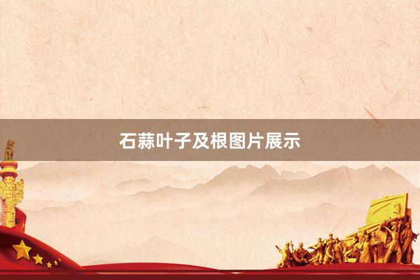 石蒜叶子及根图片展示
